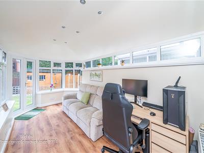 Picture 11